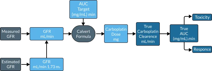 Glomerular Filtration Rate